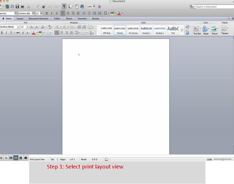where to find paragraph options in word for mac